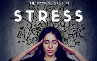 stress on the immune system